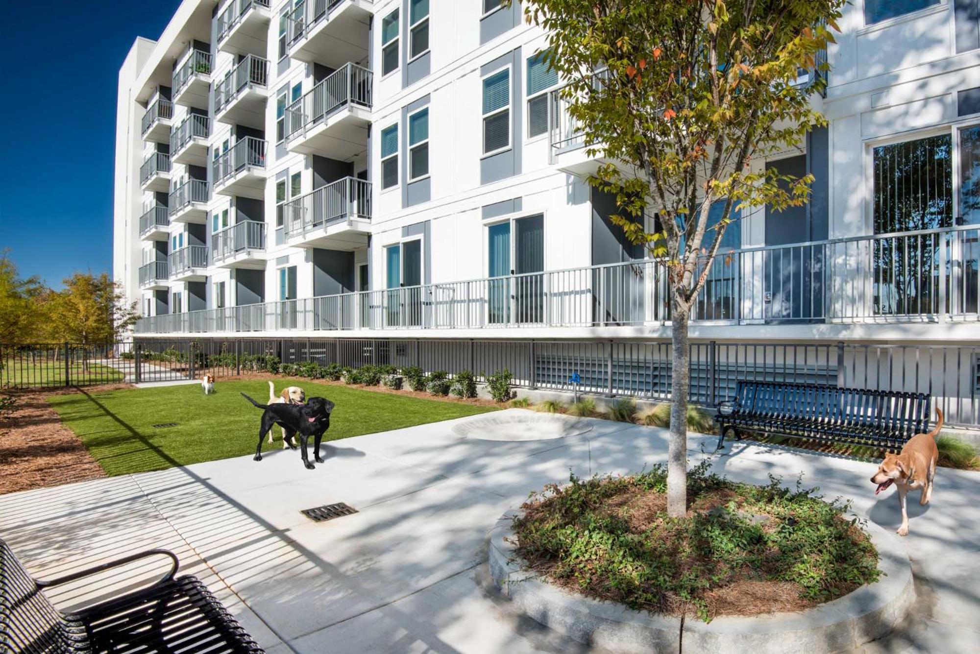Spectacular Apartments By Bca Furnished Apartments Atlanta Kamer foto